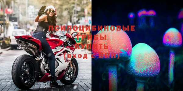 mdma Бородино