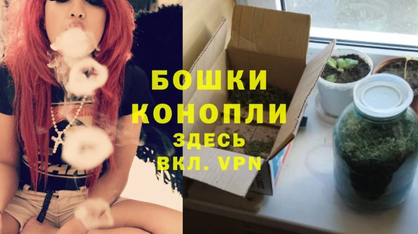 mdma Бородино
