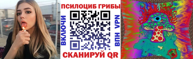 Псилоцибиновые грибы Cubensis  darknet состав  Любим 